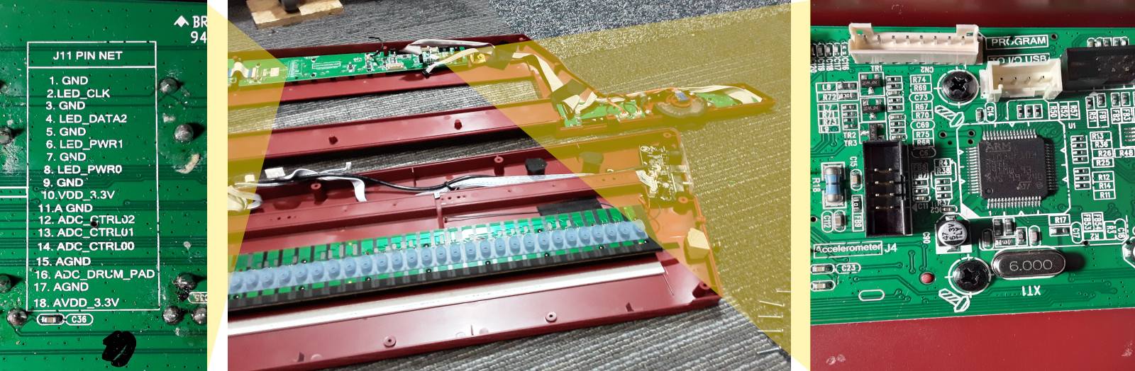 Vortex Internals